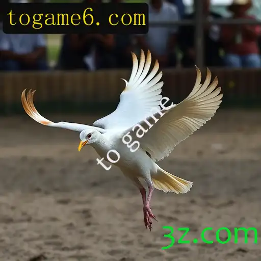 Jogos de sabong
